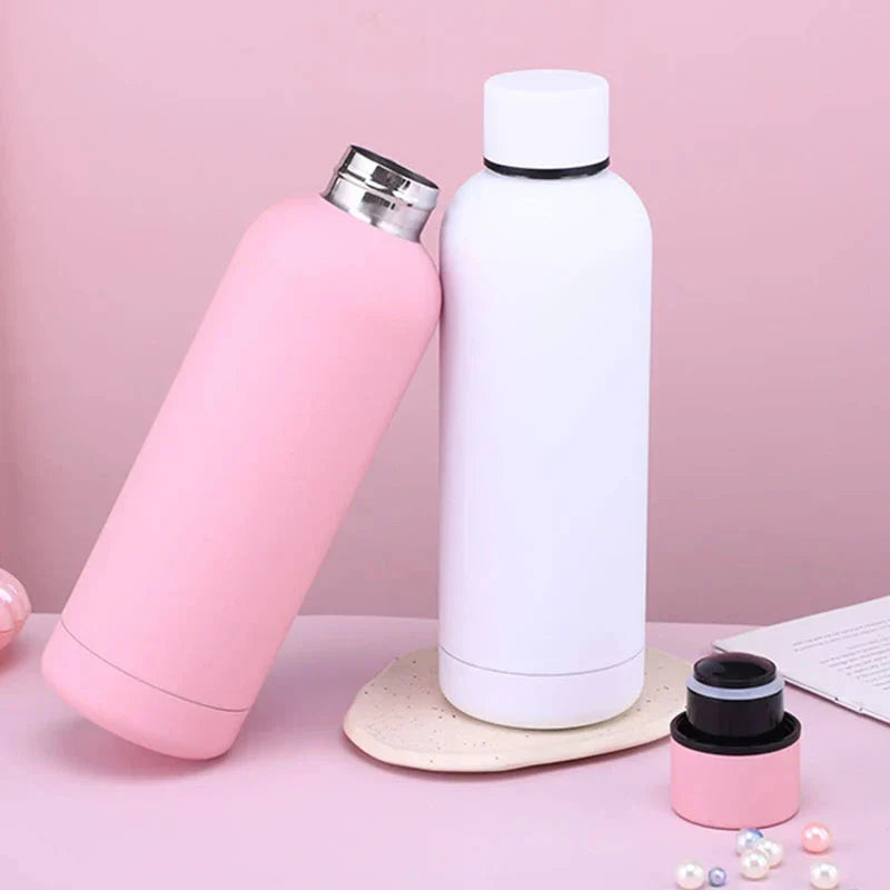 Stainless Steel Insulated Water Bottle 750ml